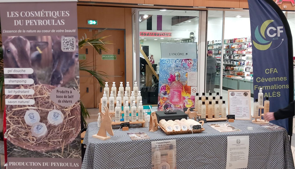 Action Commerciale chez Carrefour par les élèves de CAP EPC du CFA Cévennes Formations Alès